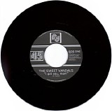 The Sweet Vandals - I Got You, Man!