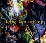 Donockley, Troy - The Unseen Stream