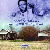 Robert Lee McCoy - Prowling With The Nighthawk   @320