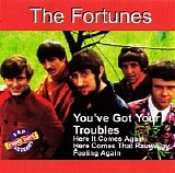 The Fortunes - You've Got Your Troubles