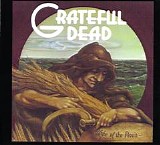 Grateful Dead - Wake Of The Flood    @320