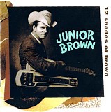 Junior Brown - 12 Shades Of Brown