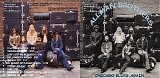 Allman Brothers Band - Chicago Blues Again