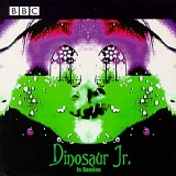 Dinosaur Jr. - In Session