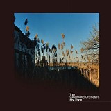 Cinematic Orchestra - Ma Fleur (Japan Release)