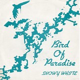 Snowy White - Bird Of Paradise