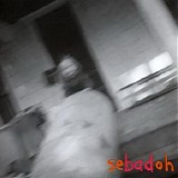 Sebadoh - Rocking the Forest