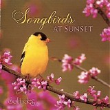 Dan Gibson - Songbirds At Sunset