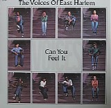 The Voices Of East Harlem - Can You Feel It