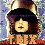 T. Rex - Rabbit Fighter