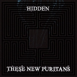 These New Puritans - Hidden