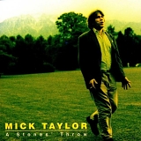 Mick Taylor - Stones Throw