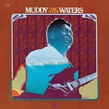 Muddy Waters - Unk in the Funk