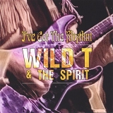 Wild T & the Spirit - I've Got the Rhythm