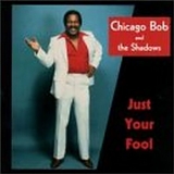 Chicago Bob - Just Your Fool