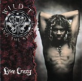 Wild 'T' And The Spirit - Love Crazy