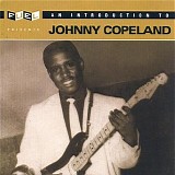 Johnny Copeland - An Introduction To Johnny Copeland