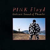 Pink Floyd - Delicate Sound Of Thunder