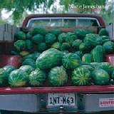 Waz E. James Band - Watermelon   @320