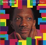 Bernie Worrell - Funk Of Ages