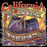 The Electric Prunes - California