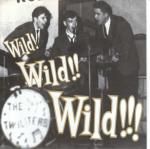 Various artists - Wild! Wild!! Wild!!!