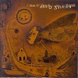David Sylvian - Dead Bees on a Cake