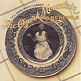 The Ozark Mountain Daredevils - It'll Shine When It Shines