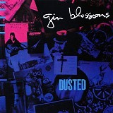 Gin Blossoms - Dusted