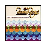 The Beach Boys - That's Why God Made The Radio