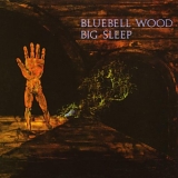 Big Sleep - Bluebell Wood (Remastered)