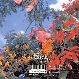 Harold Budd - Avalon Sutra