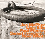 Joe McPhee, Lisle Ellis & Paul Plimley - Sweet Freedom - Now What?