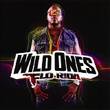 Flo Rida - Wild Ones