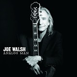 Joe Walsh - Analog Man