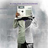 Q-Tip - The Renaissance