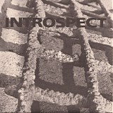 Introspect - s/t