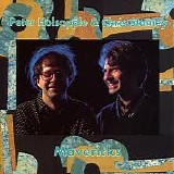 Peter Holsapple & Chris Stamey - Mavericks