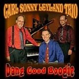 Carl Sonny Leyland Trio - Dang Good Boogie - The