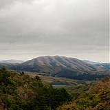 The Dirty Projectors & Bjork - Mount Wittenberg Orca