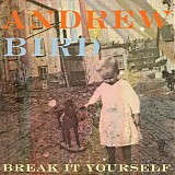 Andrew Bird - Break It Yourself