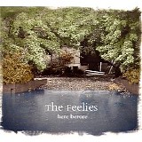 The Feelies - Here Before