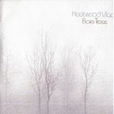 Fleetwood Mac - Bare Trees