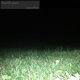 Knuckle Puck - Acoustics EP