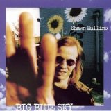 Shawn Mullins - Big Blue Sky