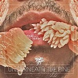 Toro Y Moi - Underneath The Pine