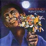 Paulinho Da Viola - Nervos De Aco