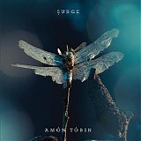 Amon Tobin - Surge