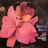 Bossa Rio - Gentle Rain