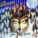 Los Temerarios - Camino del Amor